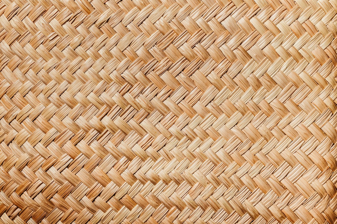 Superfície densa de fibra natural — padrão de qualidade para compra industrial de fibra de coco longa