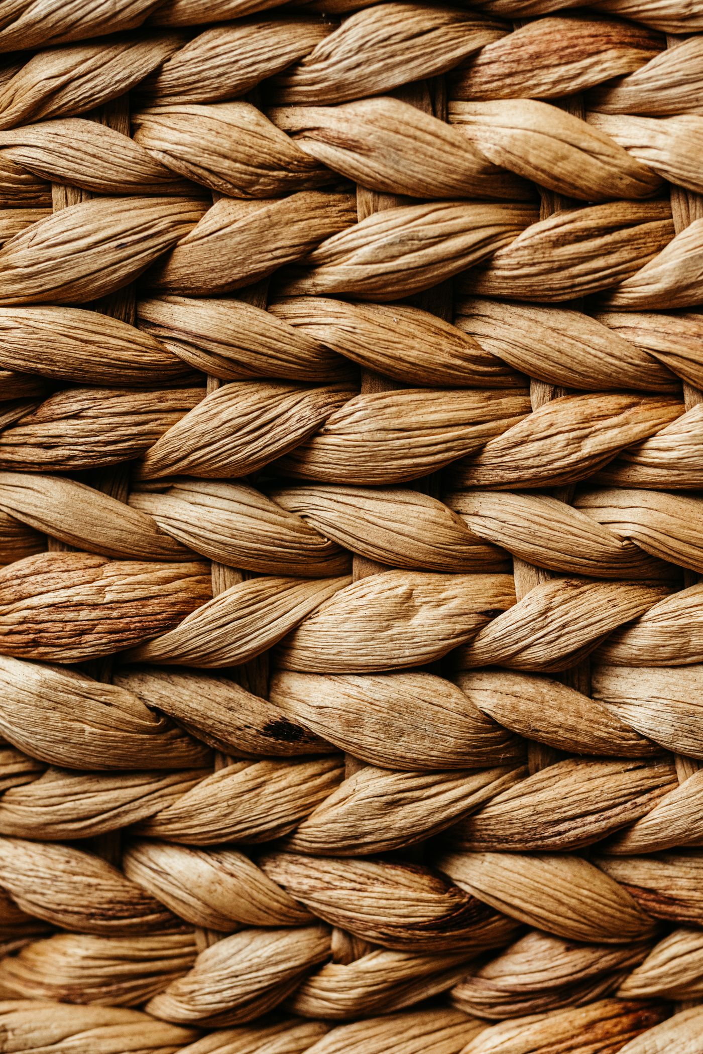 Fardos de fibra de coco longa prontos para comercialização