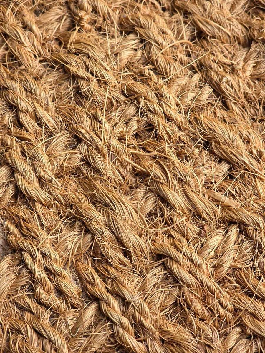 Fibras de coco longas enroladas em detalhe — matéria-prima classe A