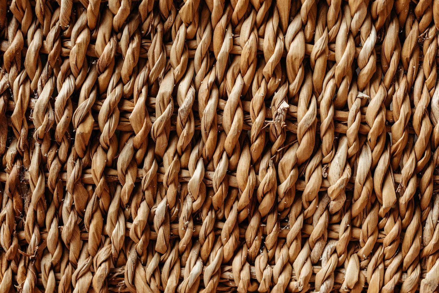 Detalhe da textura e comprimento de fibras de coco longas